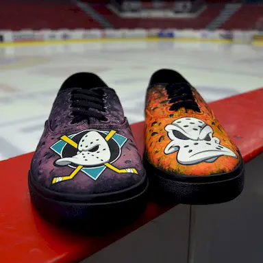 Ducks Anaheim 2